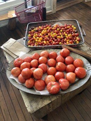 Local tomatoes