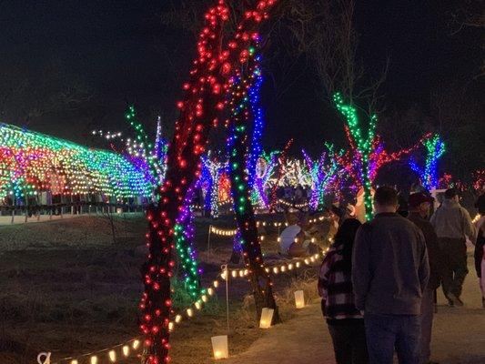 Winter Lightfest