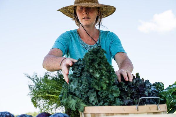 Seva Water arranges bunches of kale at the Hilltown CDC mobile market in Worthington, MA.