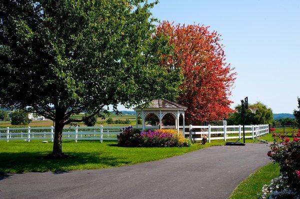 Take a stroll to meet our animal friends and enjoy the views of the farmland.