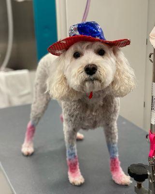 This sweet boy is ready for the fourth!