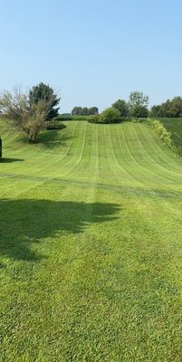 All Green Turf