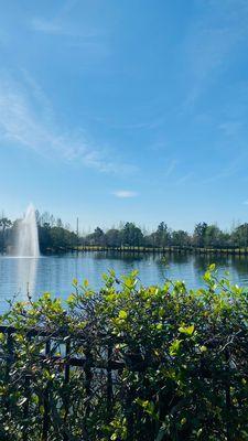 Lake alongside Conroy Rd.