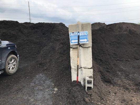 Soil (right) and Black Mulch (left)