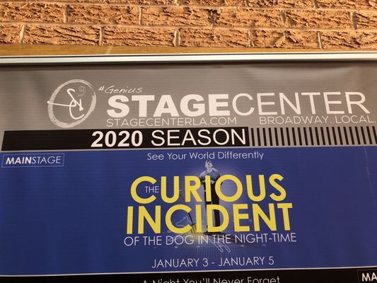 1/5/20. Sunday. 2pm. Centenary College. The Curious Incident of the Dog in the Night-Time. Read the book. Seen the London production.