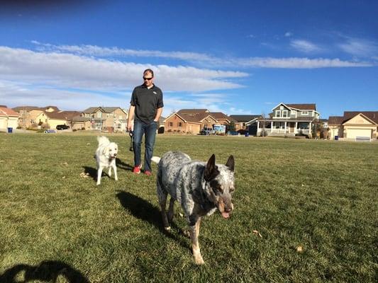 Beautiful day at the dog park!