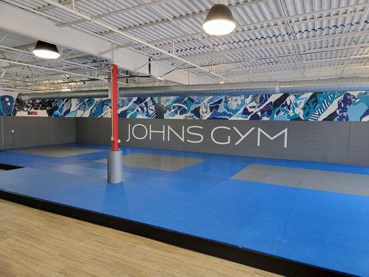 Jiu Jitsu Mat area