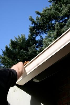 Gutter Cleaning Services