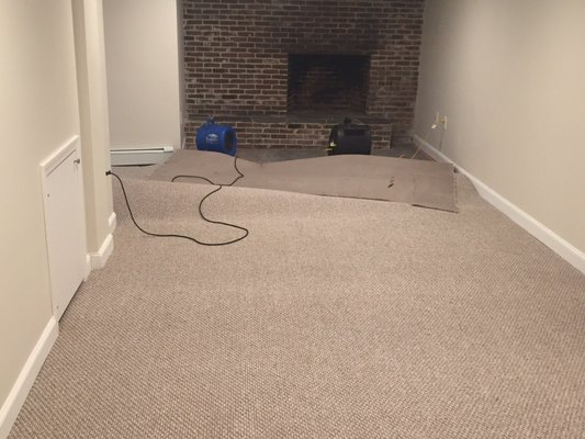 Drying out flooded carpets