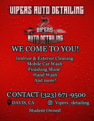 Vipers Auto Detailing