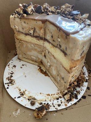 Cross section of the Zang ice cream cake