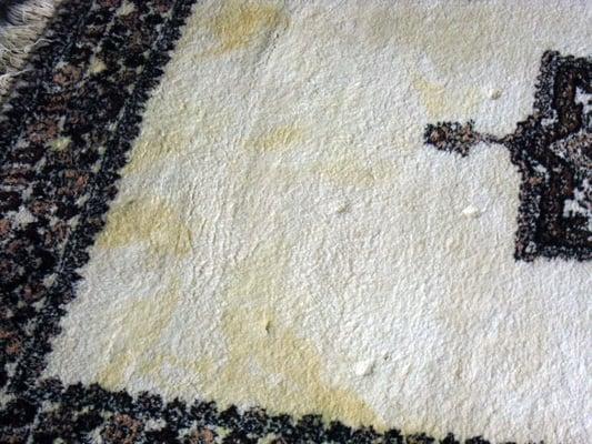 Afghan rug with dog urine stains