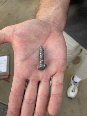 The bolt in our tire