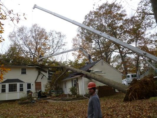 Storm Damage