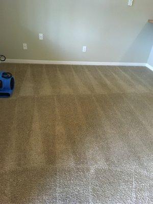 Xtreme Carpet Care