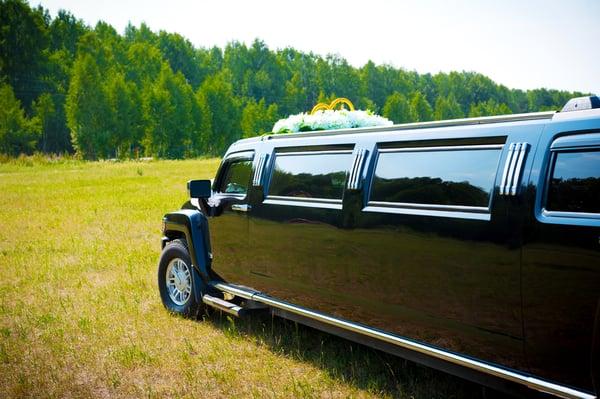 Wonderful addition to your Wine Tour..... luxurious stretch limo with full bar and mood lighting.