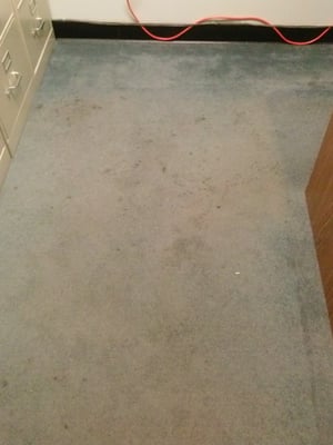 Carpet 
Before Cleaning