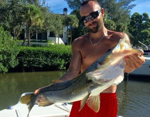 Great morning fishing in the Bay, shocked to catch a Snook too large to keep.