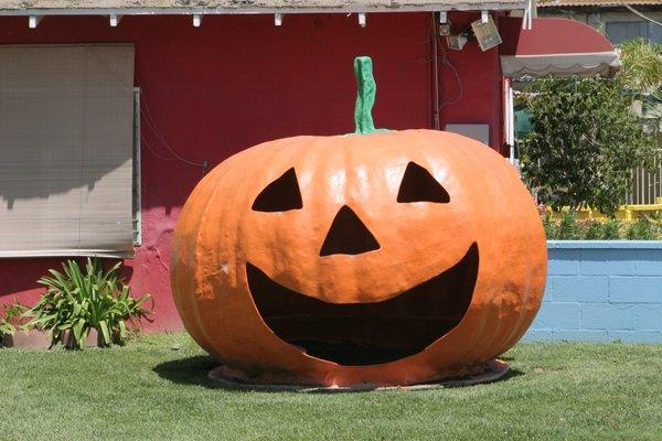 Preschool Pumpkin