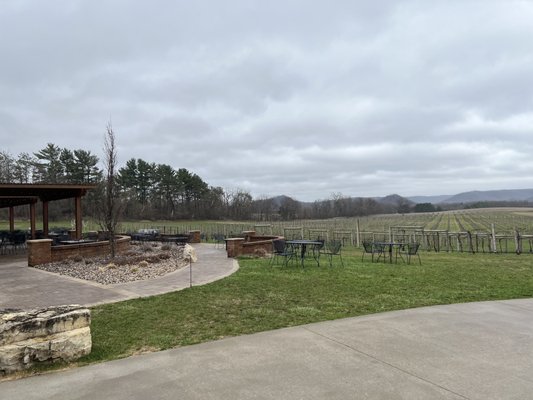 Vineyard/outdoor patio area