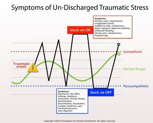 A dysregulated nervous system cannot bounce back and discharge stress energy, getting "stuck" in over or under- activation.