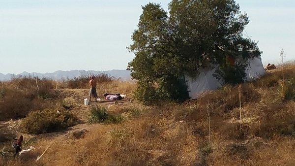 Homeless person urinating, while enjoying of a tax free view... SHAME ON POLICE OFFICERS WHO HAVE NOT DONE ANYTHING ABOUT THIS!!