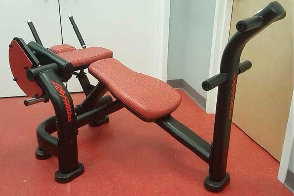 Life Fitness Signatures Ab Crunch - Remanufactured with Ostrich Upholstery