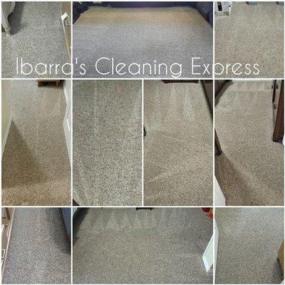 Carpet Cleaning