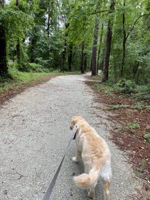 Nice trail loop