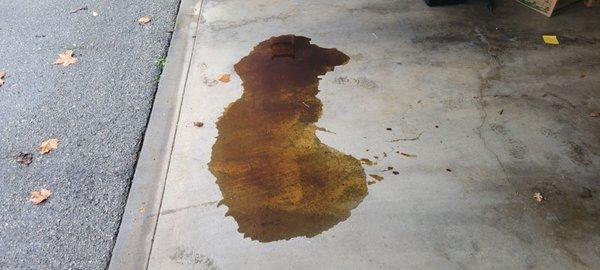 Got an oil change and went home, oil was leaking everywhere. My car is a 2022, I have never had any problems with leaks. Very unhappy