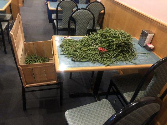 A fresh bushel of green beans... being prepared