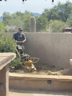 Grinding the stump down