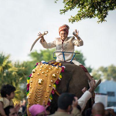 Indian wedding at Fair Park with elephant