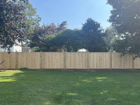 Cedar tongue & grove back fence