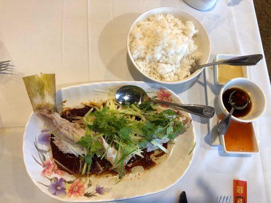 Steamed fresh snapper with ginger and green onion.