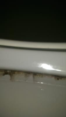 Inside toilet black mold.