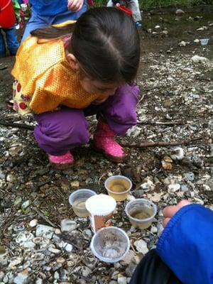 M closely observing the tadpoles we found.