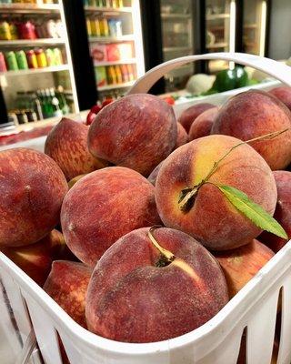 SC peaches season is on.