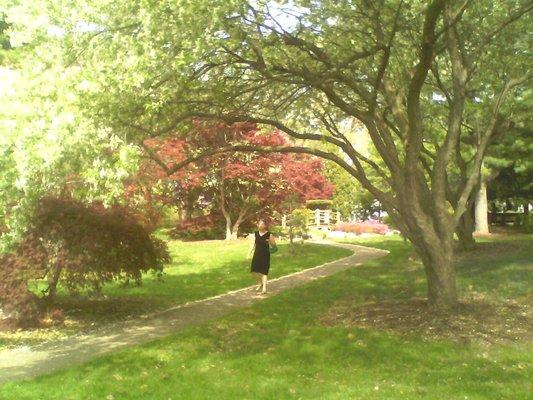 Park in early May.  That is when the famous cherry blossom is out!