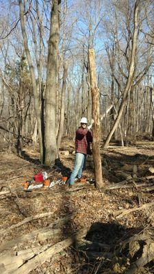 Stapert Tree and Forestry Service