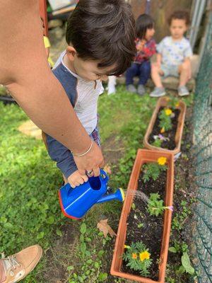 Watering our flowers