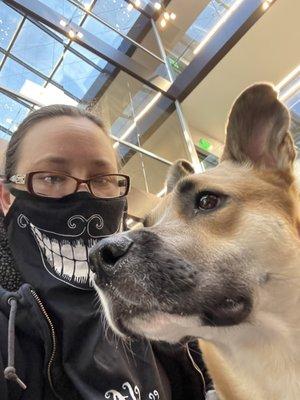 In their lobby before my appointment with my service dog