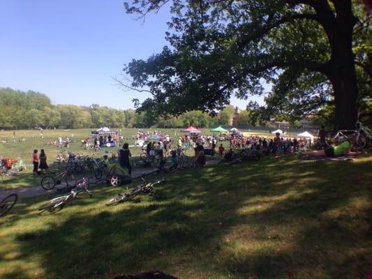 Brookline bike parade