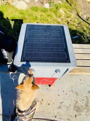 Solar phone charging station