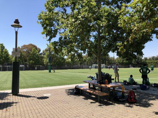 Palo Alto / Stanford Community Playing Fields