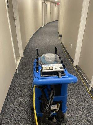 Extractor carpet cleaning