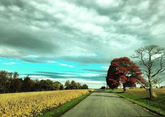 Delaware Valley Storage Farm