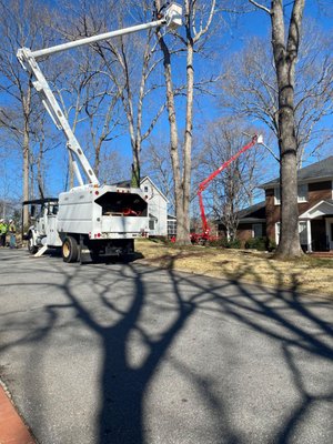 Enhance the health and appearance of your trees with Tyndal Tree Service LLC's tree trimming services in Greer, SC...