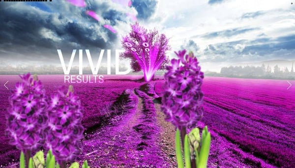 When you work with Vivid Candi, you can expect Vivid Results.