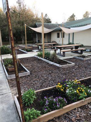 Nice little raised bed garden.